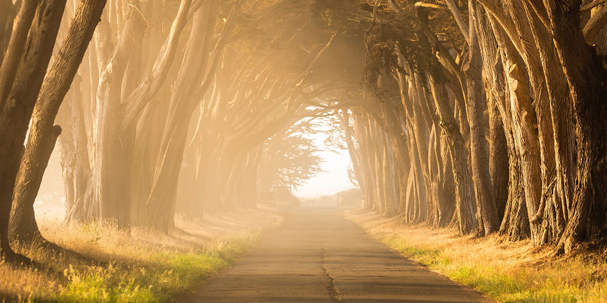  El Camino A La Vida Eterna Es estrecho O recto Central Del 