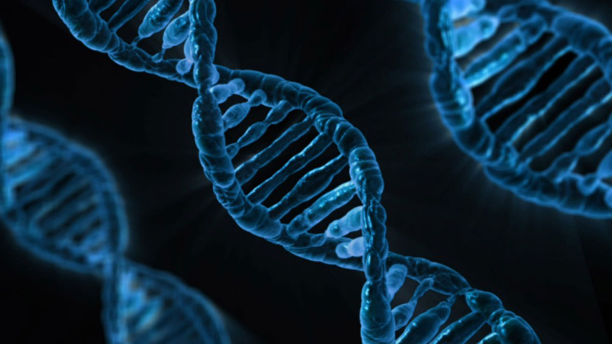 ADN, vía pixabay.com