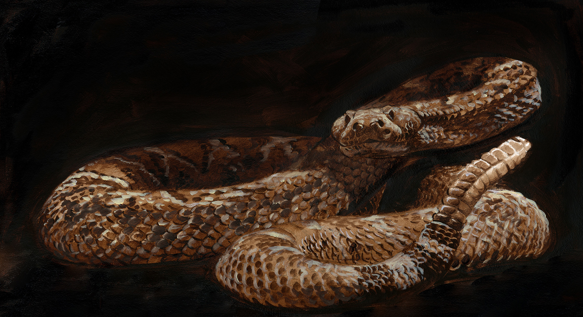 Serpiente de cascabel, por James Fullmer