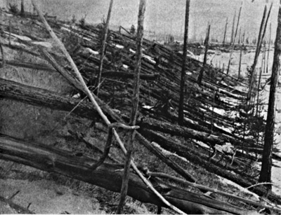 Árboles derribados por la explosión en Tunguska. Fotografía tomada por la expedición de Leonid Kulik. Imagen de nasa.gov