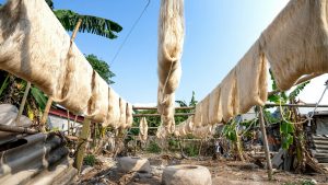 Nuevas fibras de seda se secan en líneas al sol. Imagen de Quang Nguyen Vinh vía Pexels.